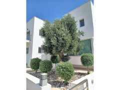 Spacious house for long term rent